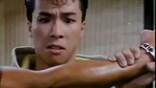 donnie yen demonstration in mismatched couples