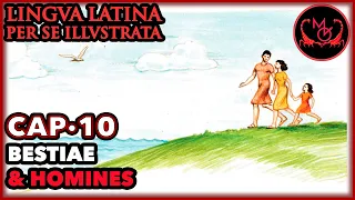Lingua Latina Per Se Illustrata Cap.10 Bestiae & Homines | LLPSI FAMILIA ROMANA