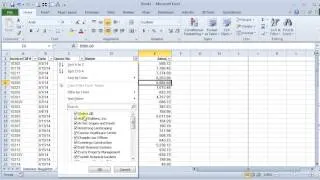 Filtering Data by Color in Excel