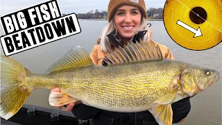 CRUSHING BIG Walleyes Almost EVERY Cast!