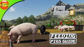 Farming Simulator 19 tutorial #6- How to feed Pigs! All about Pigs guide!