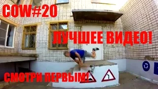 Лучшие Coub #20 (2016)