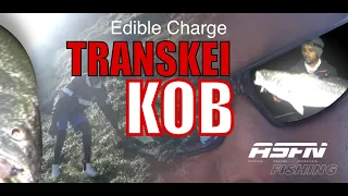 Transkei Kob Fishing |@TheASFNEdible charge | ASFN Rock & Surf