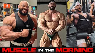 Brandon Hendrickson Eyes Olympia History + Sergio Oliva Jr Update + Andrea Muzi's Next Show?