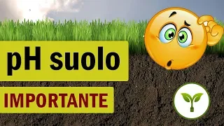 Non Conosci Il pH Del Tuo Terreno? MALISSIMO!! 🌱