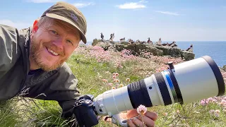 Puffins on Lunga | Bird Photography | Gear Selection & Tips