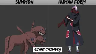 ALL ANIMAL SUMMONS IN HUMAN FORM | Naruto | Boruto