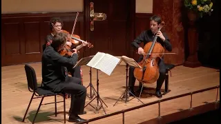 Daniel Sepec; Tabea Zimmermann; Jean-Guihen Queyras - Beethoven String Trios