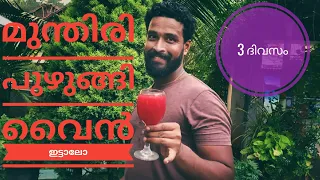 മുന്തിരി പുഴുങ്ങി വൈൻ ഇട്ടിട്ടുണ്ടോ || 3 ദിവസം കൊണ്ട് ഒരു കിടിലൻ മുന്തിരി വൈൻ