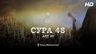 Сура: Аль-Фатх | Чтец: Tareq Mohammad