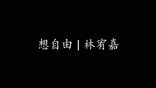 想自由 | 林宥嘉