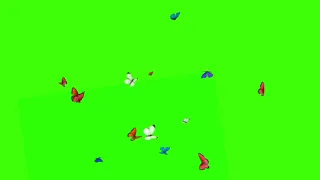 COPYRIGHT FREE GREENSCREEN FLYING BUTTERFLIES| GREENSCREEN BUTTERFLIES| LET'S TUBE |