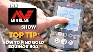 How to find Gold with the Minelab EQUINOX 800 Metal Detector