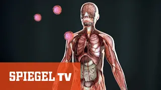 Coronakrise: Die fieberhafte Suche nach dem Impfstoff | SPIEGEL TV