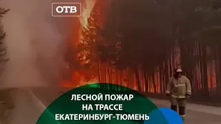 Жестокий пожар рядом с Екатеринбургом | #ОТВ