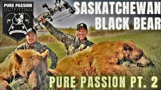 BLONDE BEAR DOWN! | Saskatchewan Black Bears