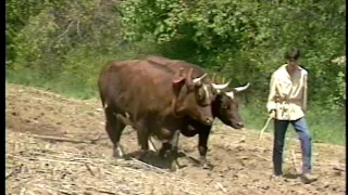 Along the Blackstone, Episode 43 - New England Farm Traditions