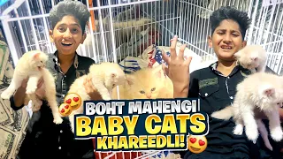 Cute Baby Cats Khareedli😍Lekin Boht Mahengi!💰😓 | Vampire YT