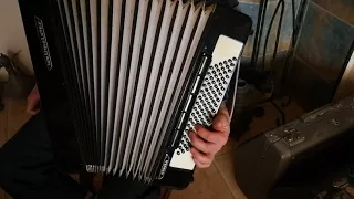 Weltmeister Stella 96 bass LMMH accordion (3)