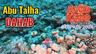 Дайв-сайт Abu Talha. Dahab/ Февраль 2024 дайв 1