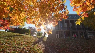 A Fall Morning At Kent State