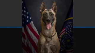 West Jordan K9 officer laid to rest