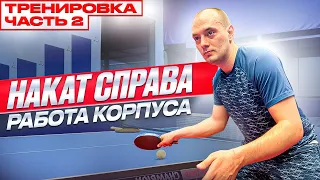 ОШИБКИ в накате справа. Особенности техники. #pingpong #tabletennis