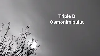 TRIPLE B OSMONIM BULUT #OSMONIM #BULUT #TRIPLEB #ASLWAYNE #osmonimbulut