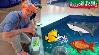 حلقة بليبي يزور حوض سمك  إودي | بلبي بالعربي | كرتون اطفال | Blippi Arabic Visits an Aquarium