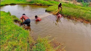 Amazing Asian Net Fishing Video | Traditional Fish Catching In Village River | Fishing By Net