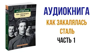 Николай Островский Как закалялась сталь Аудиокнига Часть 1 #аудиокниги