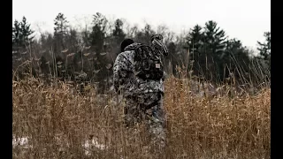 What Time To Access Your Deer Stand In The Morning