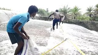 hand catching fish at  flowing water  | catching fish in river | fish catch in sea@catchingfishnkl