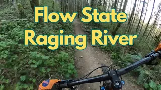 Flow State // Raging River State Forest