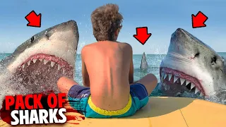 This PACK of 8 Great White Sharks Eat 2 Boys Alive!