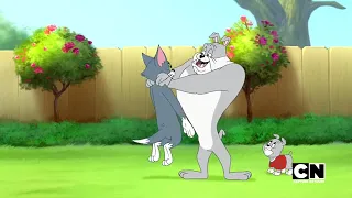 Tom and Jerry Tales S02 - Ep08 Cat Show Catastrophe - Screen 09