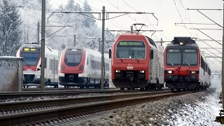 Zug um Zug - Wintertrain 2017