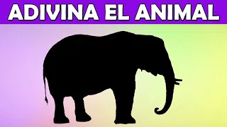 Adivina el animal por su silueta 🐨🦁🐷 Quiz de animales | Adivina los animales por su sombra |Juego ✅
