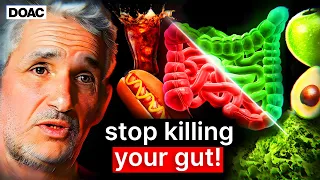 The Alarming Link Between Your GUT & Depression | Dr. Tim Spector