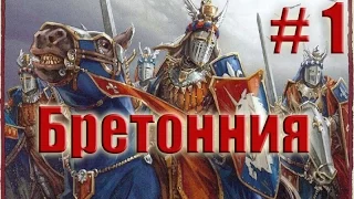 Total War: WARHAMMER. Прохождение за Бретоннию. Легенда. # 1