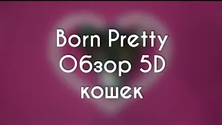 👀Born Pretty👀Обзор 5D кошек👀