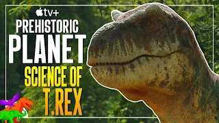 How Speculative Is Prehistoric Planet's T. rex?