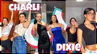 Charli and Dixie D’Amelio TikTok Compilation #2