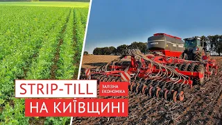 Реальний досвід! Стріптіл з сівалкою HORSCH Focus + Треззор, гібрид озимого ріпаку від RAGT