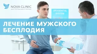 Лечение мужского бесплодия