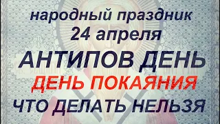 24 апреля народный праздник Антипов день. Народные приметы и традиции. Запреты дня.