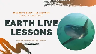 Earth LIVE Lesson with Tasha Phillips: Mysteries of the giant ocean sunfishes