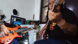 You Could Be Mine - Guns N' Roses (Pech Bass Cover)