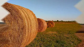 Українське село: Оржиця, Полтавська обл. (Муз.супр. із інтернет джерел)