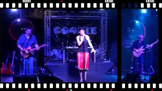 cookie cover band promo